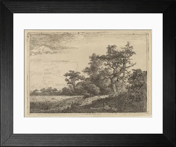 Framed Print : Grain Field at the Edge of a Wood (Corn Field). Creator: Jacob van Ruisdael Framed Print : Grain Field at the Edge of a Wood (Corn Field). Creator: Jacob van Ruisdael