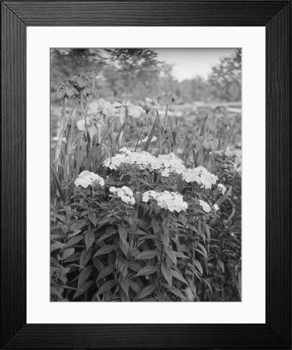 Framed Print : Cosgrave grounds, not before 1917. Creator: Arnold Genthe Framed Print : Cosgrave grounds, not before 1917. Creator: Arnold Genthe