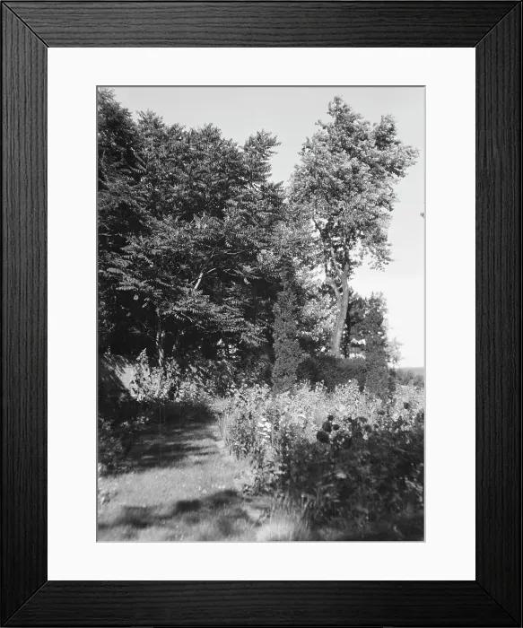 Framed Print : Cosgrave grounds, not before 1917. Creator: Arnold Genthe Framed Print : Cosgrave grounds, not before 1917. Creator: Arnold Genthe