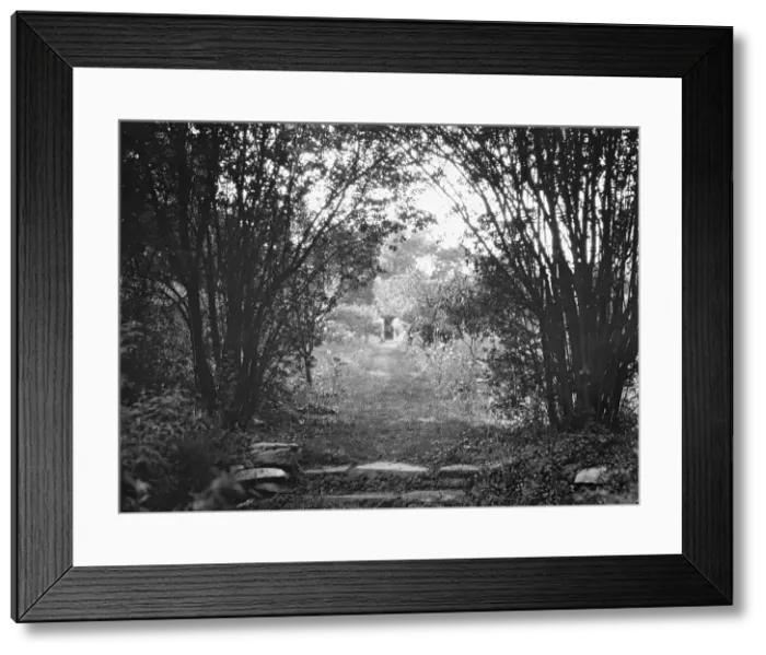 Framed Print : Cosgrave grounds, not before 1917. Creator: Arnold Genthe Framed Print : Cosgrave grounds, not before 1917. Creator: Arnold Genthe