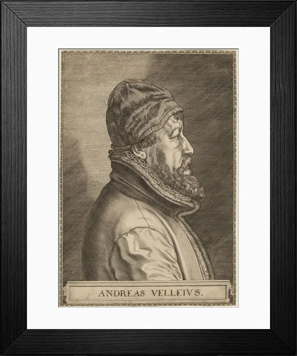 Framed Print : Andreas Velleius (Anders Sorensen Vedel). Creator: Jan Wierix Framed Print : Andreas Velleius (Anders Sorensen Vedel). Creator: Jan Wierix