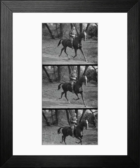 Framed Print : Rothbart, Albert, Mr. on horseback, between 1920 and 1935. Creator: Arnold Genthe