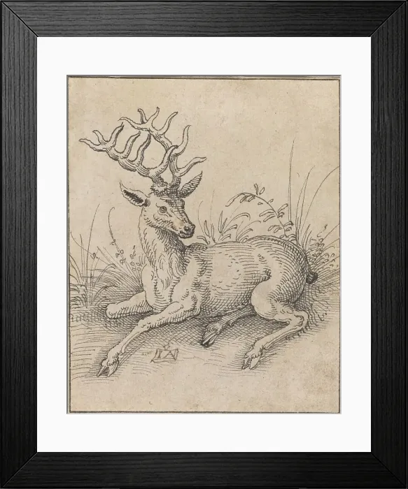 Framed Print : The Stag. Creator: Jost Ammon Framed Print : The Stag. Creator: Jost Ammon