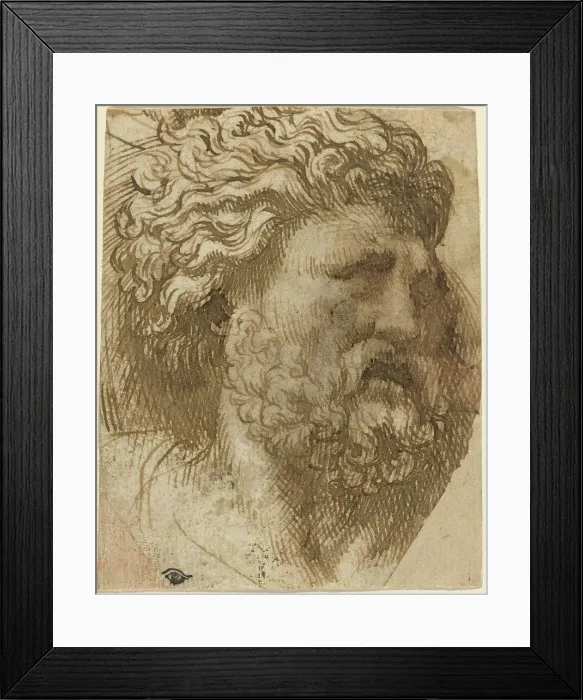 Framed Print : Head of a Man. Creator: Domenico Campagnola Framed Print : Head of a Man. Creator: Domenico Campagnola