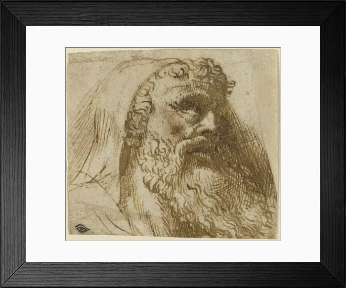 Framed Print : Head of a Man. Creator: Domenico Campagnola Framed Print : Head of a Man. Creator: Domenico Campagnola