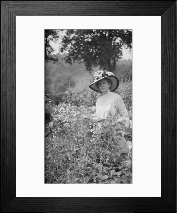 Framed Print : Tarbell, Ida, Miss, in her garden, 1912 or 1913. Creator: Arnold Genthe Framed Print : Tarbell, Ida, Miss, in her garden, 1912 or 1913. Creator: Arnold Genthe