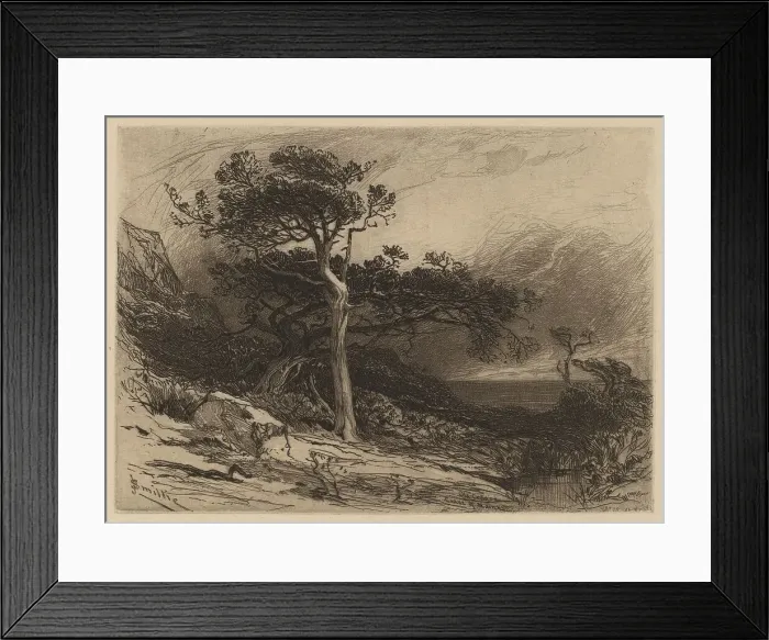 Framed Print : Old Cedars, Coast of Maine, 1880. Creator: James David Smillie Framed Print : Old Cedars, Coast of Maine, 1880. Creator: James David Smillie