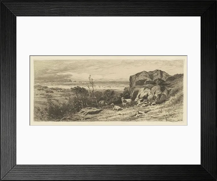 Framed Print : A Bit on Marblehead Neck, 1883. Creator: James David Smillie Framed Print : A Bit on Marblehead Neck, 1883. Creator: James David Smillie