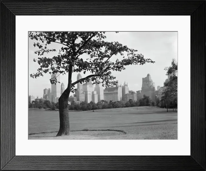 Framed Print : New York City views, Central Park, between 1931 and 1938. Creator: Arnold Genthe Framed Print : New York City views, Central Park, between 1931 and 1938. Creator: Arnold Genthe