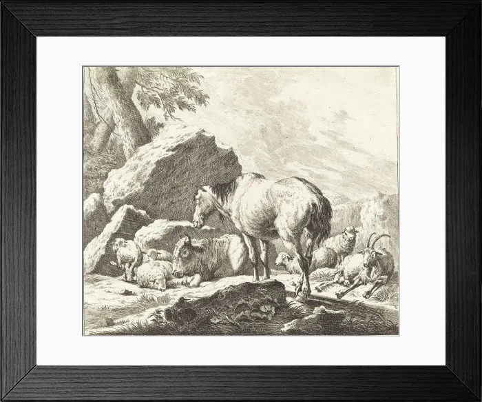 Framed Print : A Horse, Buffalo, Sheep, and Goat in an Italian Landscape. Creator: Johann Elias Ridinger Framed Print : A Horse, Buffalo, Sheep, and Goat in an Italian Landscape. Creator: Johann Elias Ridinger