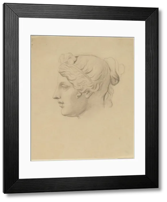 Framed Print : Classical Head in Profile. Creator: Horatio Greenough Framed Print : Classical Head in Profile. Creator: Horatio Greenough