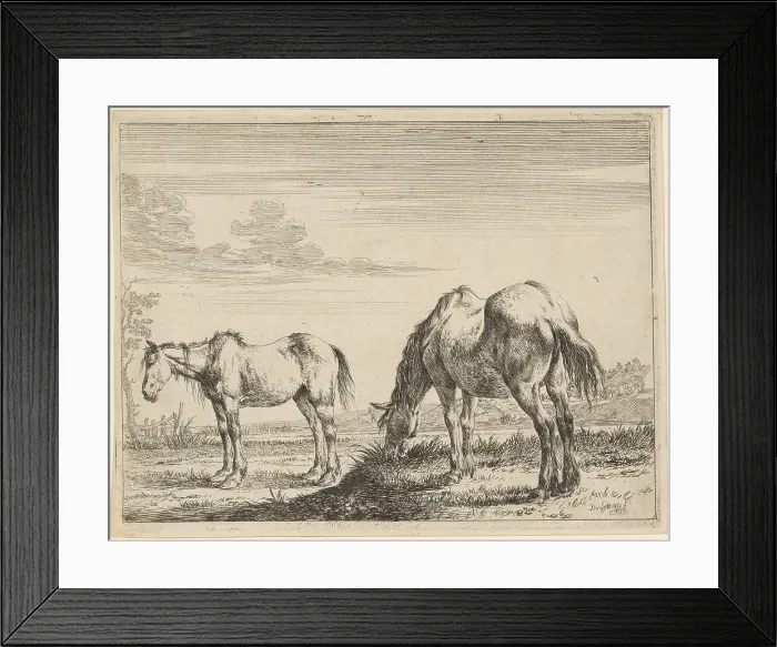 Framed Print : Two Grazing Horses, 1651. Creator: Dirck Stoop Framed Print : Two Grazing Horses, 1651. Creator: Dirck Stoop