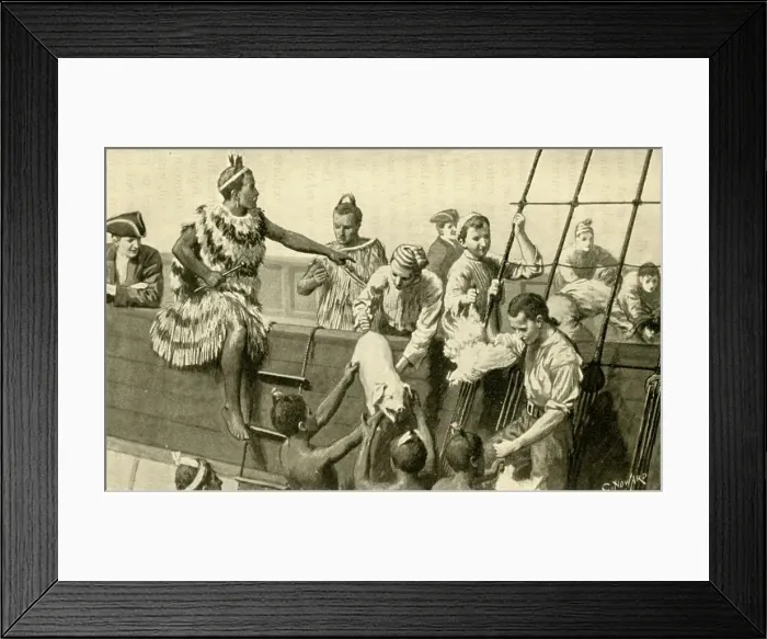 Framed Print : Captain Cook Presenting Pigs and Fowls to the Maoris, (1902). Creator: C. Howard Framed Print : Captain Cook Presenting Pigs and Fowls to the Maoris, (1902). Creator: C. Howard