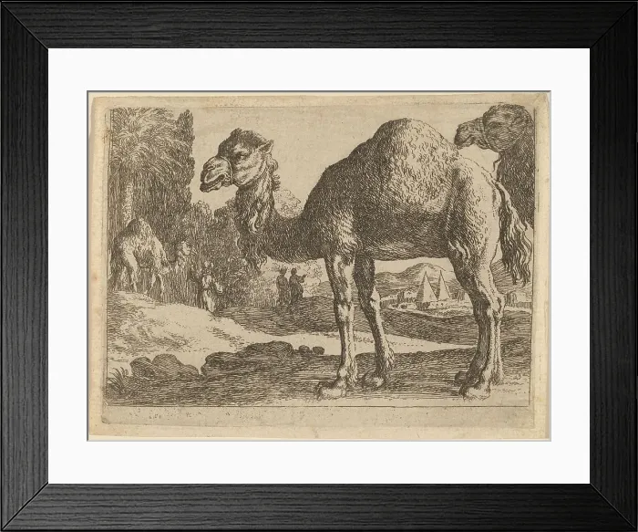 Framed Print : Camels. Creator: Herman van Swanevelt Framed Print : Camels. Creator: Herman van Swanevelt