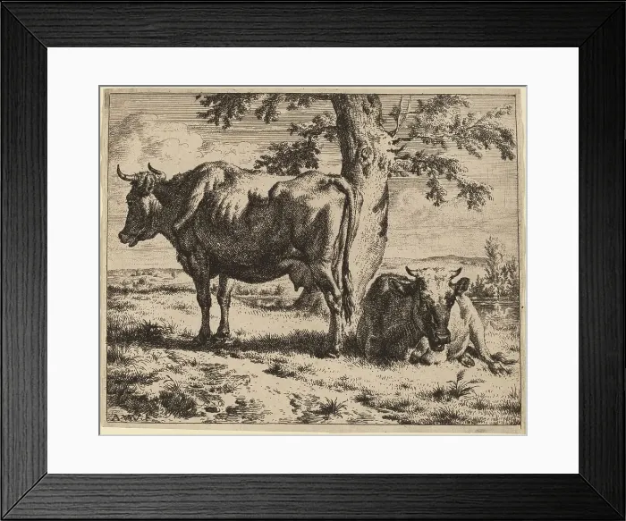 Framed Print : Two Cows under a Tree, c. 1670. Creator: Adriaen van de Velde Framed Print : Two Cows under a Tree, c. 1670. Creator: Adriaen van de Velde