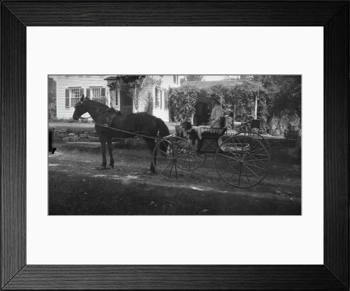Framed Print : Tarbell, Ida, Miss, with dog, in a horse-drawn wagon, 1912 or 1913. Creator: Arnold Genthe Framed Print : Tarbell, Ida, Miss, with dog, in a horse-drawn wagon, 1912 or 1913. Creator: Arnold Genthe