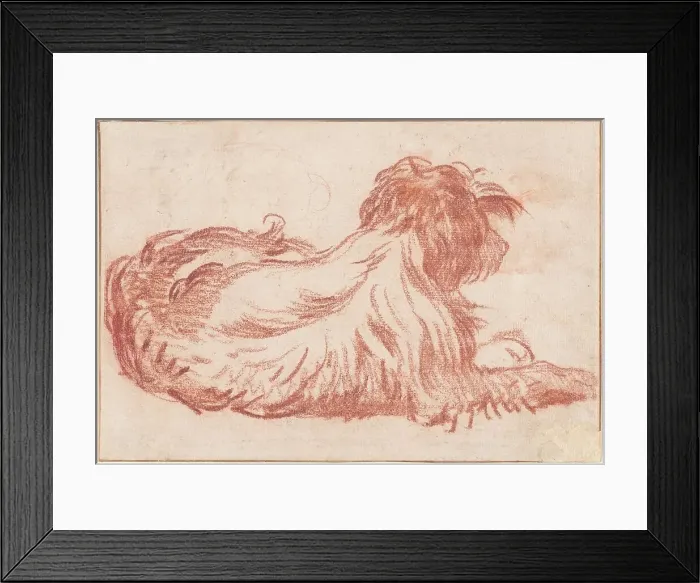 Framed Print : A Dog, c. 1760. Creator: Jean-Baptiste Greuze Framed Print : A Dog, c. 1760. Creator: Jean-Baptiste Greuze