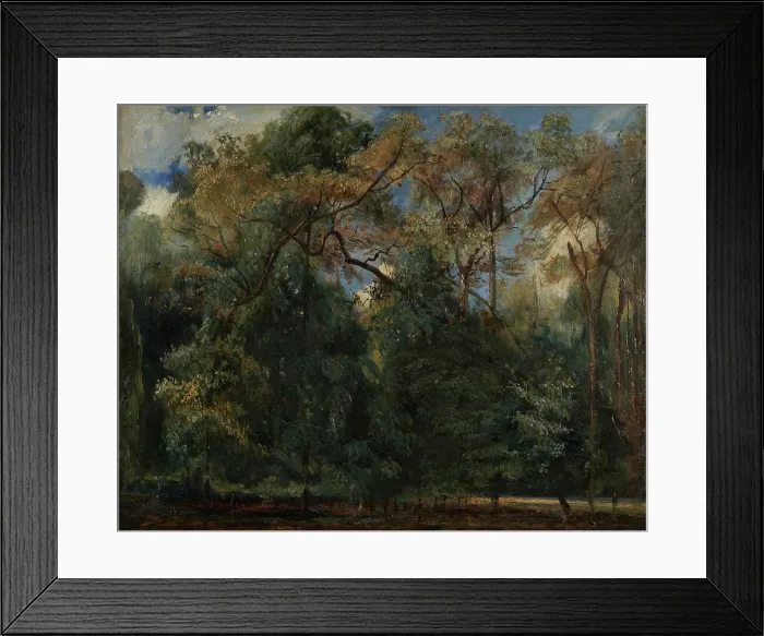 Framed Print : Les ormes de Saint-Cloud, 1823. Creator: Paul Huet Framed Print : Les ormes de Saint-Cloud, 1823. Creator: Paul Huet