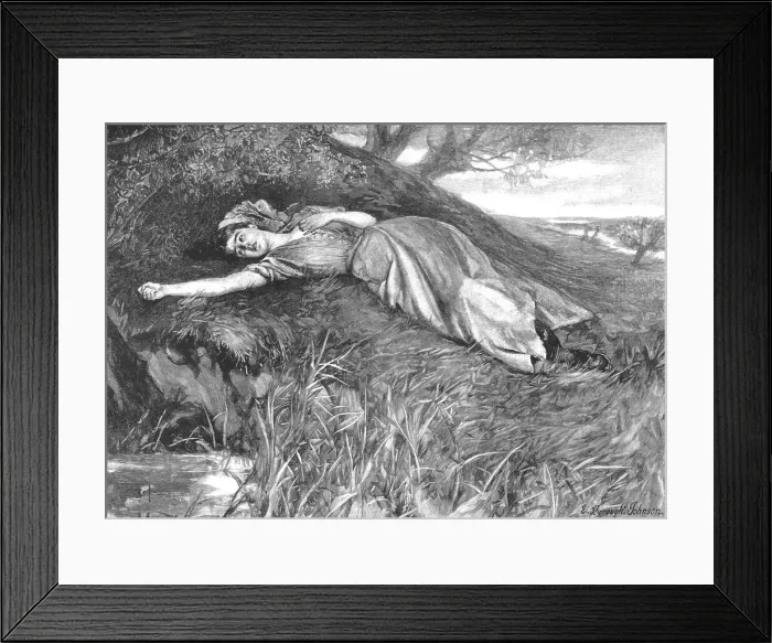 Framed Print : Scene from Tess of the D'Urbervilles, by Thomas Hardy, 1891. Creator: E Borough Johnson. Scene from Tess of the D'Urbervilles, by Thomas Hardy, 1891. Creator: E Borough Johnson Framed Print : Scene from Tess of the D'Urbervilles, by Thomas Hardy, 1891. Creator: E Borough Johnson. Scene from Tess of the D'Urbervilles, by Thomas Hardy, 1891. Creator: E Borough Johnson