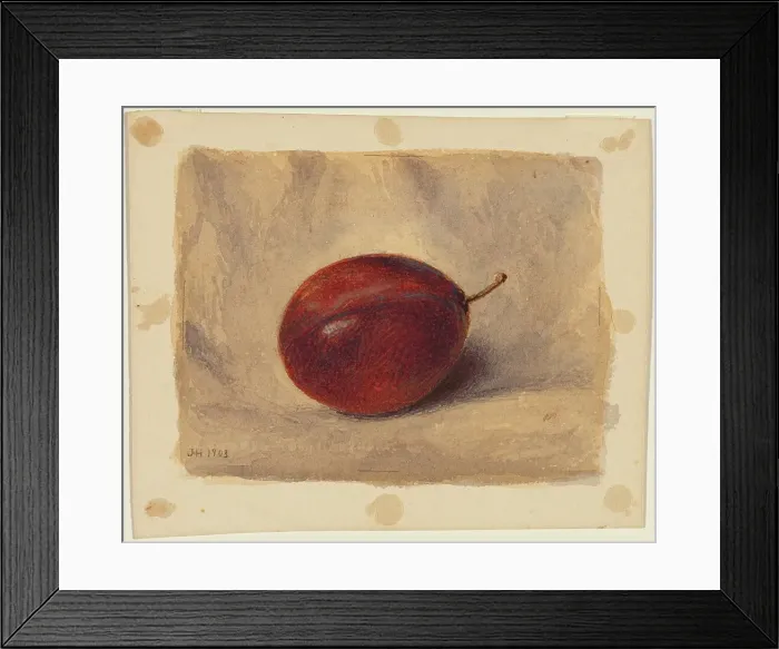 Framed Print : Plum, 1903. Creator: John Henry Hill Framed Print : Plum, 1903. Creator: John Henry Hill