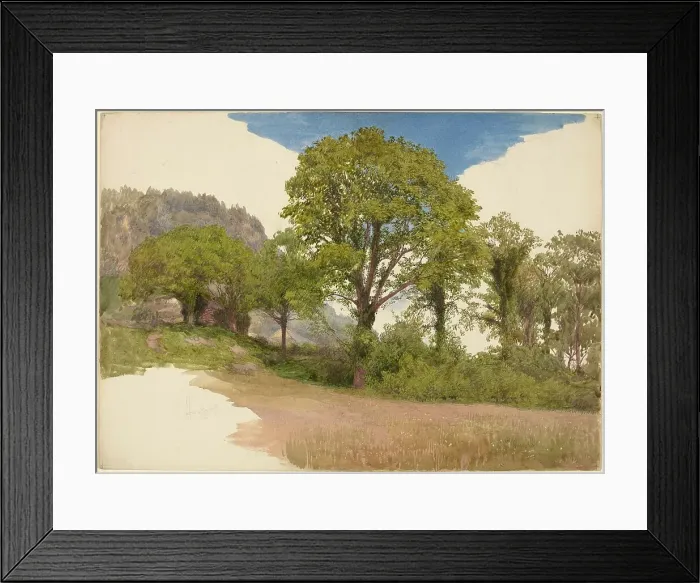 Framed Print : Trees Profiled against the Sky, c. 1865. Creator: John Henry Hill Framed Print : Trees Profiled against the Sky, c. 1865. Creator: John Henry Hill