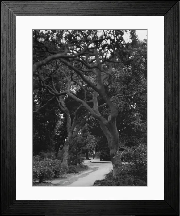 Framed Print : San Francisco views, 1927 Creator: Arnold Genthe Framed Print : San Francisco views, 1927 Creator: Arnold Genthe
