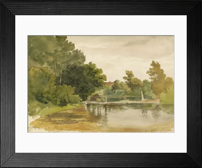 Framed Print : Reflections in a Wooded Pool. Creator: Robert Hills Framed Print : Reflections in a Wooded Pool. Creator: Robert Hills