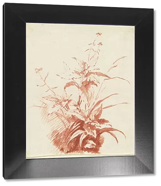 Flowering Plant with Grass, mid 1760s. Creator: Jean Baptiste Marie Huet