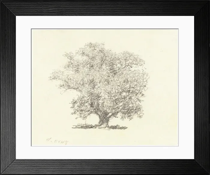 Framed Print : A Tree in Full-Leaf. Creator: William Henry Hunt