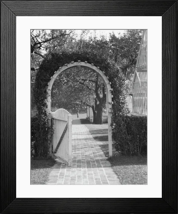Framed Print : Taylor, Myron C. Mr. residence and grounds, Locust Valley, Long Island, New York, 1928 Nov. Creator: Arnold Genthe Framed Print : Taylor, Myron C. Mr. residence and grounds, Locust Valley, Long Island, New York, 1928 Nov. Creator: Arnold Genthe