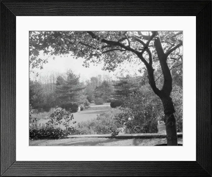 Framed Print : Taylor, Myron C. Mr. residence and grounds, Locust Valley, Long Island, New York, 1928 Nov. Creator: Arnold Genthe Framed Print : Taylor, Myron C. Mr. residence and grounds, Locust Valley, Long Island, New York, 1928 Nov. Creator: Arnold Genthe