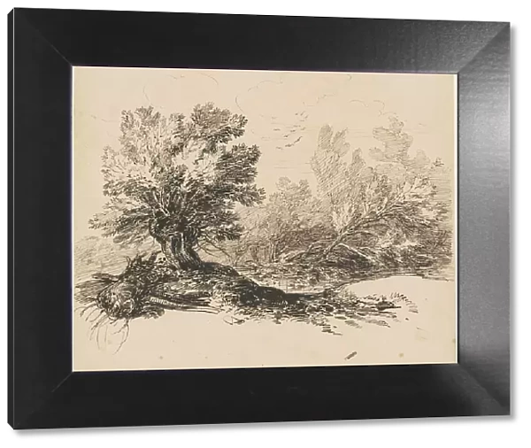 A Pollard Willow by a Stream, c. 1840. Creator: Hippolyte Lalaisse