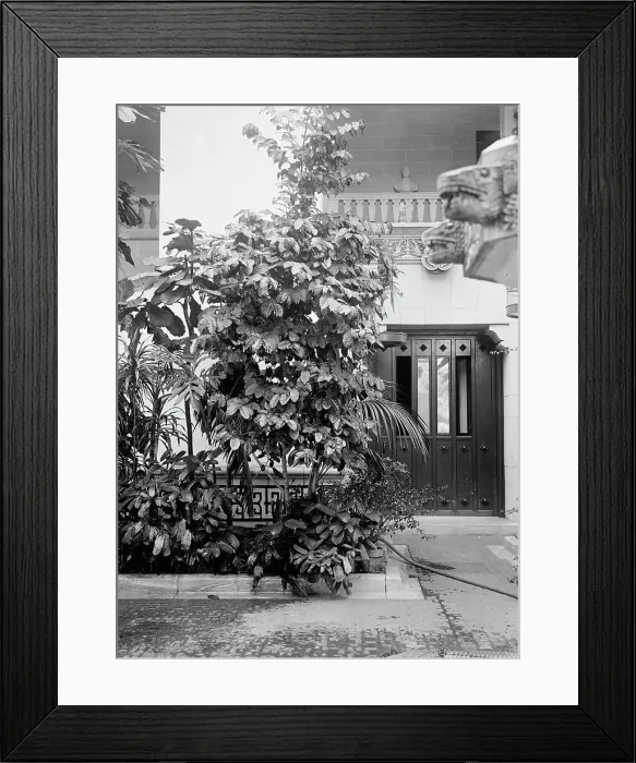 Framed Print : Pan American Union - Corner of Patio, 1916. Creator: Harris & Ewing. Pan American Union - Corner of Patio, 1916. Creator: Harris & Ewing Framed Print : Pan American Union - Corner of Patio, 1916. Creator: Harris & Ewing. Pan American Union - Corner of Patio, 1916. Creator: Harris & Ewing