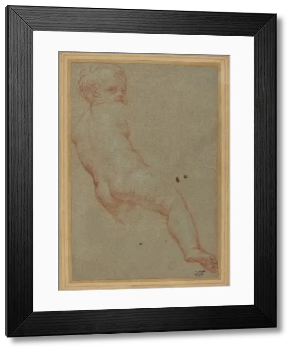 Framed Print : Study of a Young Boy. Creator: Carlo Maratti Framed Print : Study of a Young Boy. Creator: Carlo Maratti
