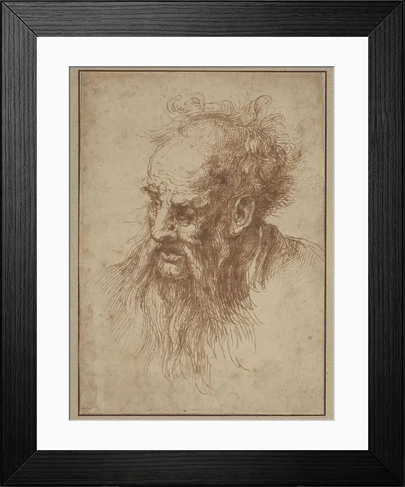 Framed Print : An Elderly Man with a Flowing Beard. Creator: Unknown Framed Print : An Elderly Man with a Flowing Beard. Creator: Unknown