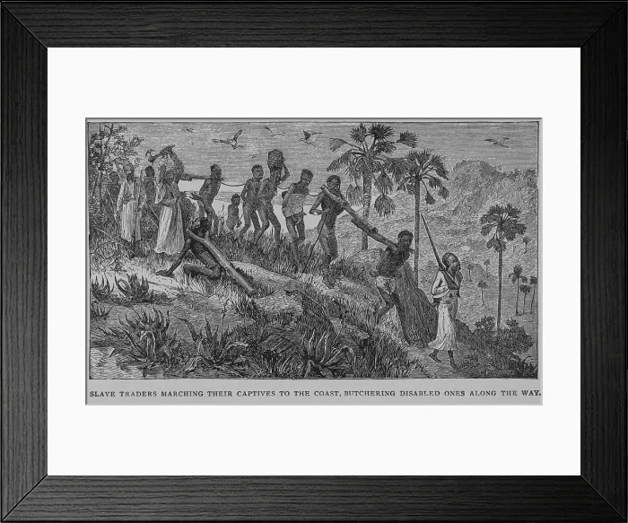 Framed Print : Slave traders marching their captives to the coast. Butchering disabled ones along the way, 1902. Creator: Unknown Framed Print : Slave traders marching their captives to the coast. Butchering disabled ones along the way, 1902. Creator: Unknown