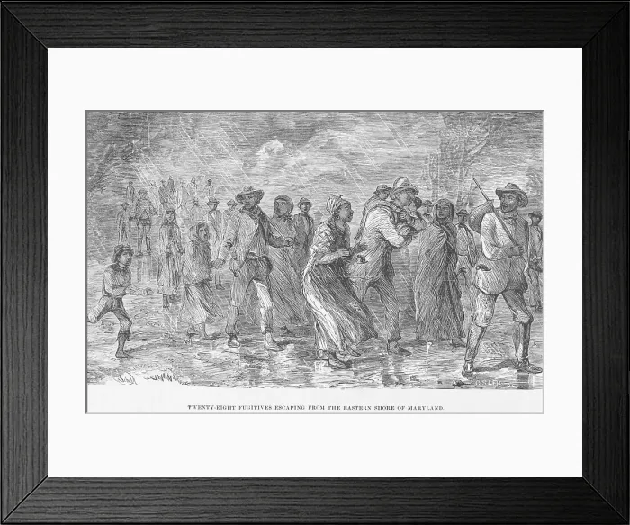 Framed Print : Twenty-eight fugitives escaping from the Eastern Shore of Maryland, 1872. Creator: Unknown Framed Print : Twenty-eight fugitives escaping from the Eastern Shore of Maryland, 1872. Creator: Unknown