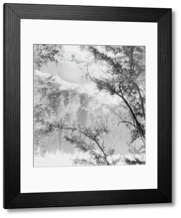 Framed Print : Landscape view of a wooded valley with a river, between 1911 and 1942. Creator: Arnold Genthe Framed Print : Landscape view of a wooded valley with a river, between 1911 and 1942. Creator: Arnold Genthe