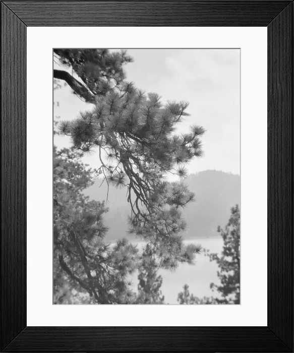Framed Print : San Francisco views, 1927 Creator: Arnold Genthe Framed Print : San Francisco views, 1927 Creator: Arnold Genthe