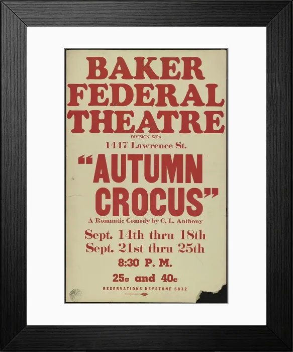 Framed Print : Autumn Crocus, Denver, [1930s]. Creator: Unknown