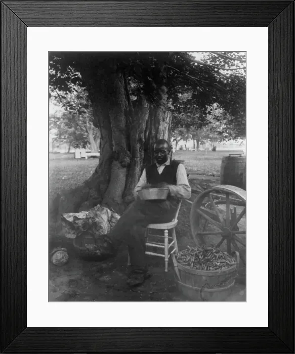 Framed Print : The cook at Marshall Hall, seated outdoors, shelling peas?, c1890. Creator: Frances Benjamin Johnston Framed Print : The cook at Marshall Hall, seated outdoors, shelling peas?, c1890. Creator: Frances Benjamin Johnston