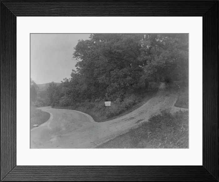 Framed Print : Zoo, c1895. Creator: Frances Benjamin Johnston Framed Print : Zoo, c1895. Creator: Frances Benjamin Johnston