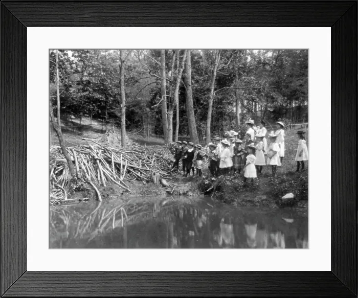 Framed Print : Group of public school children looking at beaver dam in the National Zoo(?), Washington DC, (1899?) Creator: Frances Benjamin Johnston Framed Print : Group of public school children looking at beaver dam in the National Zoo(?), Washington DC, (1899?) Creator: Frances Benjamin Johnston