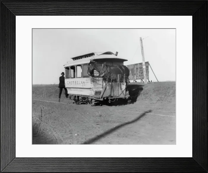 Framed Print : The horsecar Cherrelyn with a horse aboard - Denver, Colorado, 1903. Creator: Frances Benjamin Johnston. The horsecar Cherrelyn with a horse aboard - Denver, Colorado, 1903. Creator: Frances Benjamin Johnston