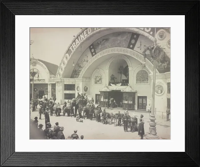Framed Print : Midway, World's Columbian Exposition, Chicago, Illinois, 1893. Creator: Frances Benjamin Johnston Framed Print : Midway, World's Columbian Exposition, Chicago, Illinois, 1893. Creator: Frances Benjamin Johnston