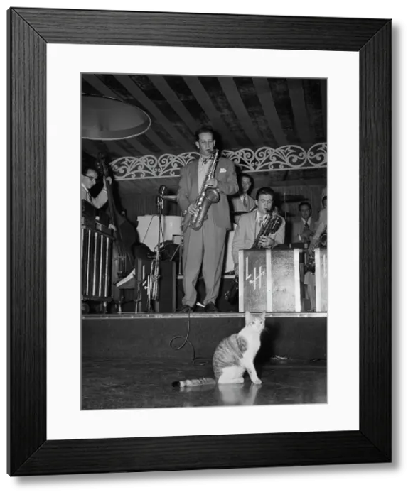 Framed Print : Portrait of Sam Donahue and Hep, Aquarium, New York, N.Y. ca. Dec. 1946. Creator: William Paul Gottlieb Framed Print : Portrait of Sam Donahue and Hep, Aquarium, New York, N.Y. ca. Dec. 1946. Creator: William Paul Gottlieb