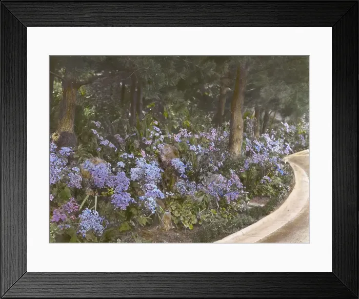Framed Print : Kimberly Crest, John Alfred Kimberly house, 1325 Prospect Drive, Redlands, California, 1917. Creator: Frances Benjamin Johnston. Kimberly Crest, John Alfred Kimberly house, 1325 Prospect Drive, Redlands, California, 1917 Framed Print : Kimberly Crest, John Alfred Kimberly house, 1325 Prospect Drive, Redlands, California, 1917. Creator: Frances Benjamin Johnston. Kimberly Crest, John Alfred Kimberly house, 1325 Prospect Drive, Redlands, California, 1917