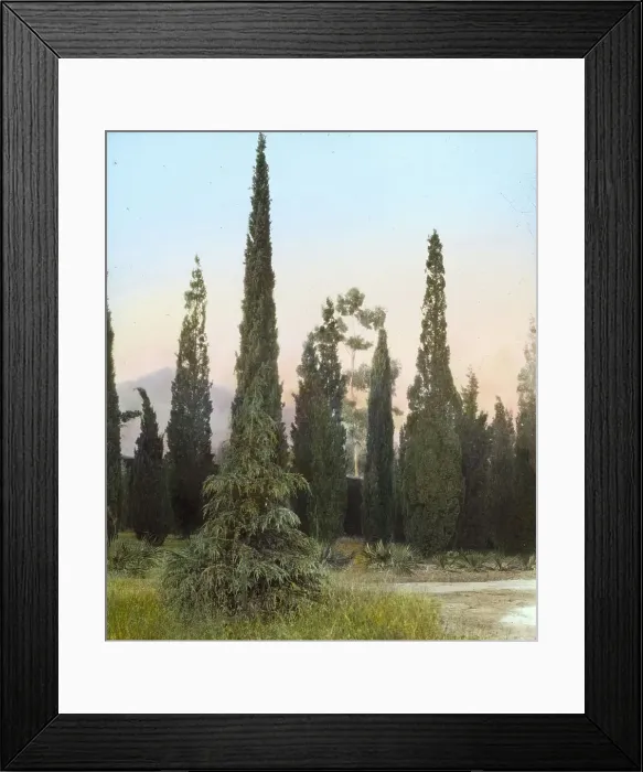 Framed Print : El Fureidis, James Waldron Gillespie house, Parra Grande Lane, Montecito, California, 1917. Creator: Frances Benjamin Johnston. El Fureidis, James Waldron Gillespie house, Parra Grande Lane, Montecito, California, 1917
