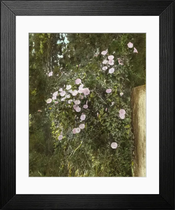 Framed Print : El Fureidis, James Waldron Gillespie house, Parra Grande Lane, Montecito, California, 1917. Creator: Frances Benjamin Johnston. El Fureidis, James Waldron Gillespie house, Parra Grande Lane, Montecito, California, 1917 Framed Print : El Fureidis, James Waldron Gillespie house, Parra Grande Lane, Montecito, California, 1917. Creator: Frances Benjamin Johnston. El Fureidis, James Waldron Gillespie house, Parra Grande Lane, Montecito, California, 1917