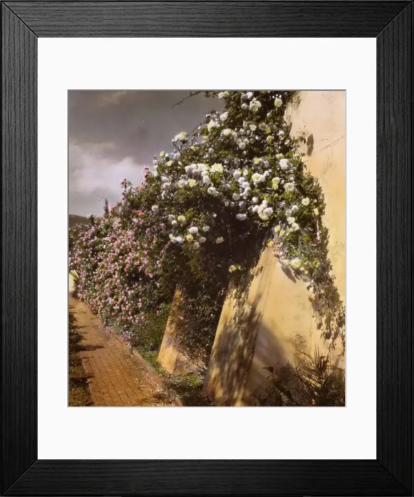 Framed Print : El Fureidis, James Waldron Gillespie house, Parra Grande Lane, Montecito, California, 1917. Creator: Frances Benjamin Johnston. El Fureidis, James Waldron Gillespie house, Parra Grande Lane, Montecito, California, 1917 Framed Print : El Fureidis, James Waldron Gillespie house, Parra Grande Lane, Montecito, California, 1917. Creator: Frances Benjamin Johnston. El Fureidis, James Waldron Gillespie house, Parra Grande Lane, Montecito, California, 1917